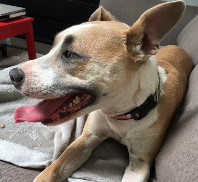 IMG_4616-2289701927-1493796407931