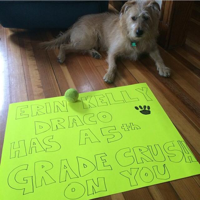 11170323_10155482909640352_3539118481299558022_n